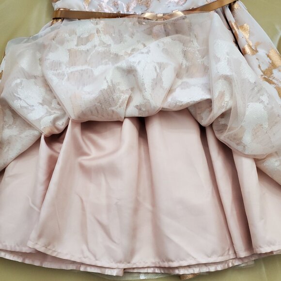 The Children's Place Rose Dust Metallic Blush Pink Girl's Belted Dress Size 14 - Picture 9 of 15